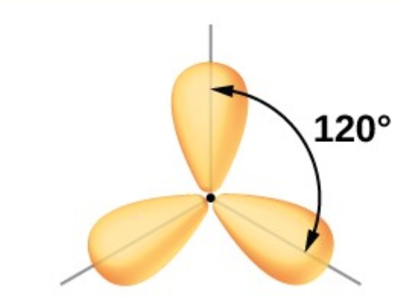<p>What is the <strong>hybridization </strong>of a <em>Trigonal Planar EG</em>?</p>