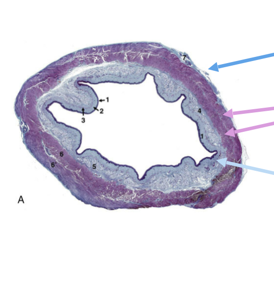 <p>What is shown?</p>