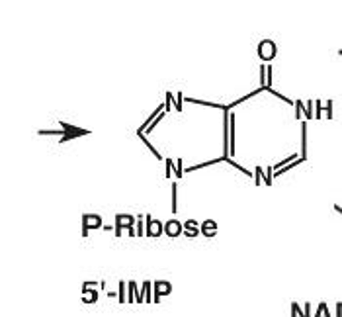 <p>Inosine monophosphate (IMP)</p>