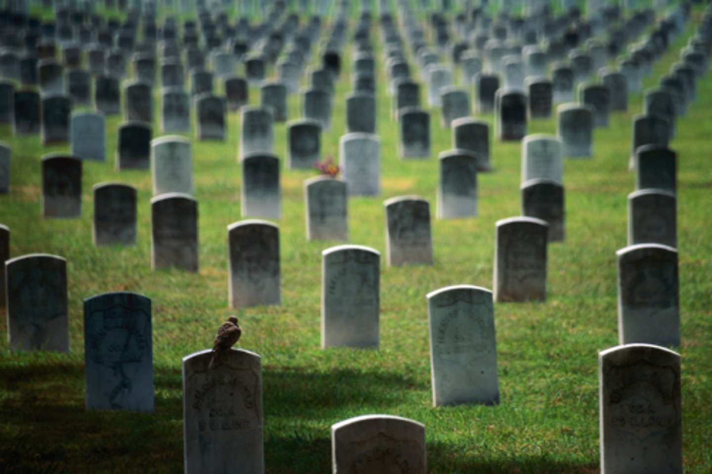 <p>The total number of deaths in a year for every 1,000 people alive in the society.</p>