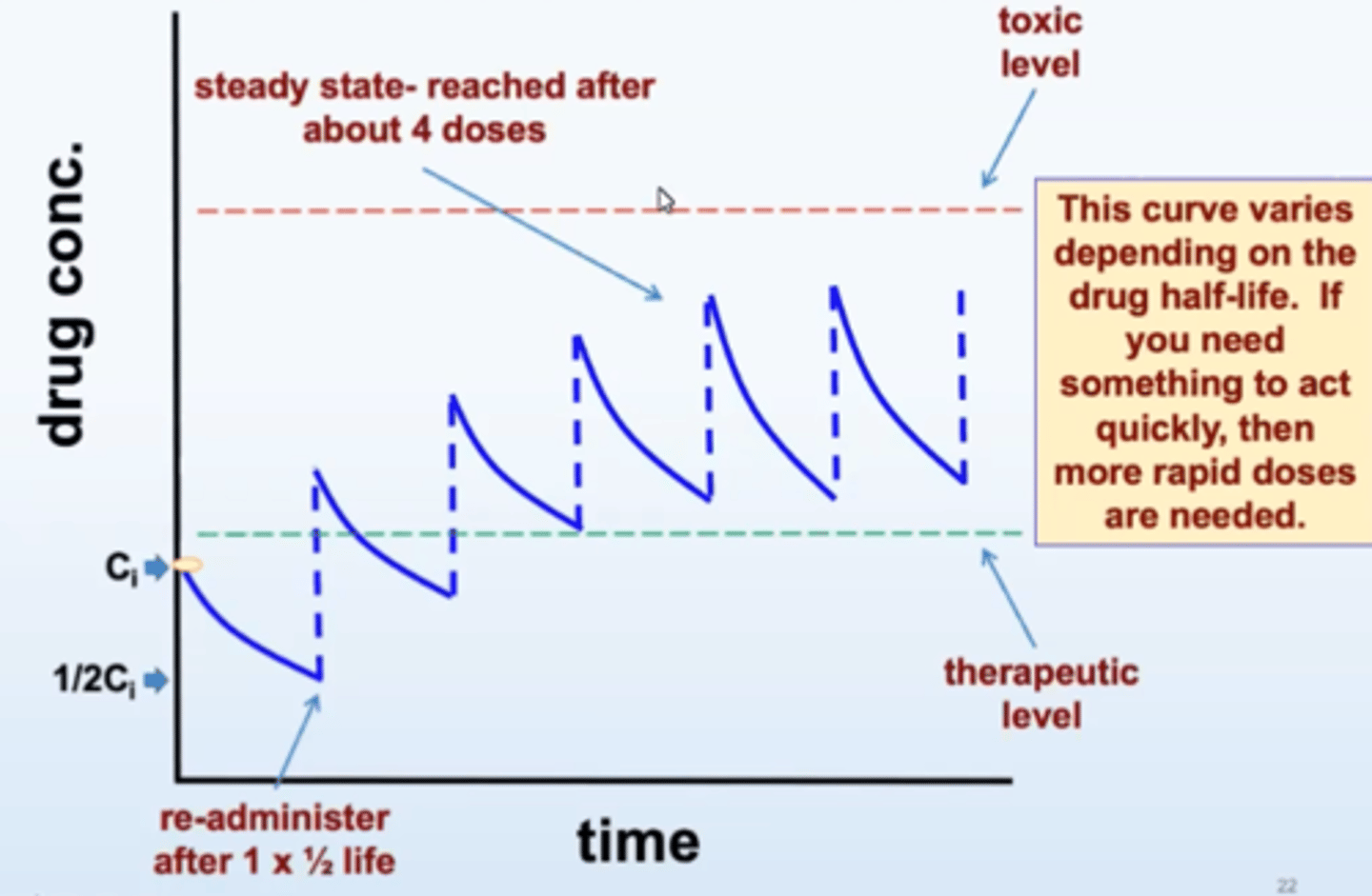 <p>- concentration that will be achieved when a drug is administered at a constant rate</p><p>- rate of absorption equals the rate of elimination (horizontal line)</p><p>- achieved in about 4 half lives</p>