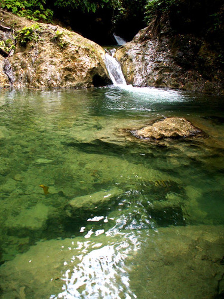 <p>về phía con suối</p>