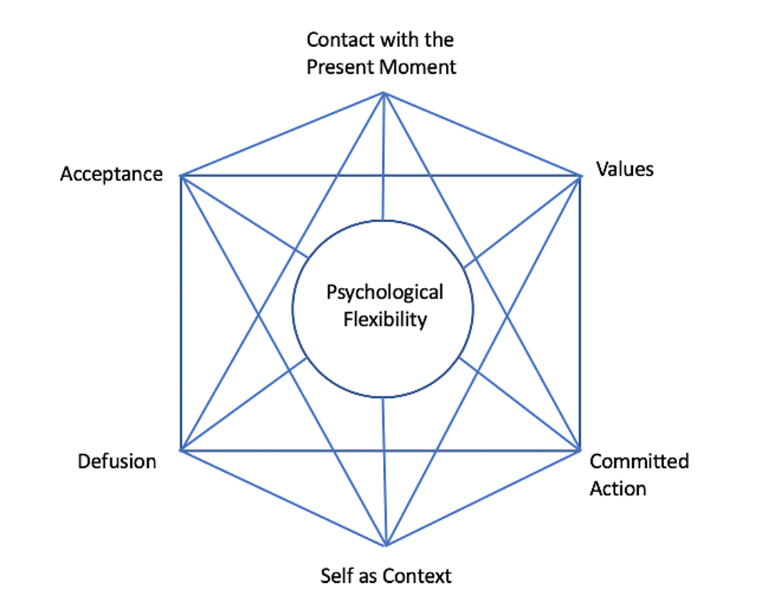 <p>6 Core processes - </p>