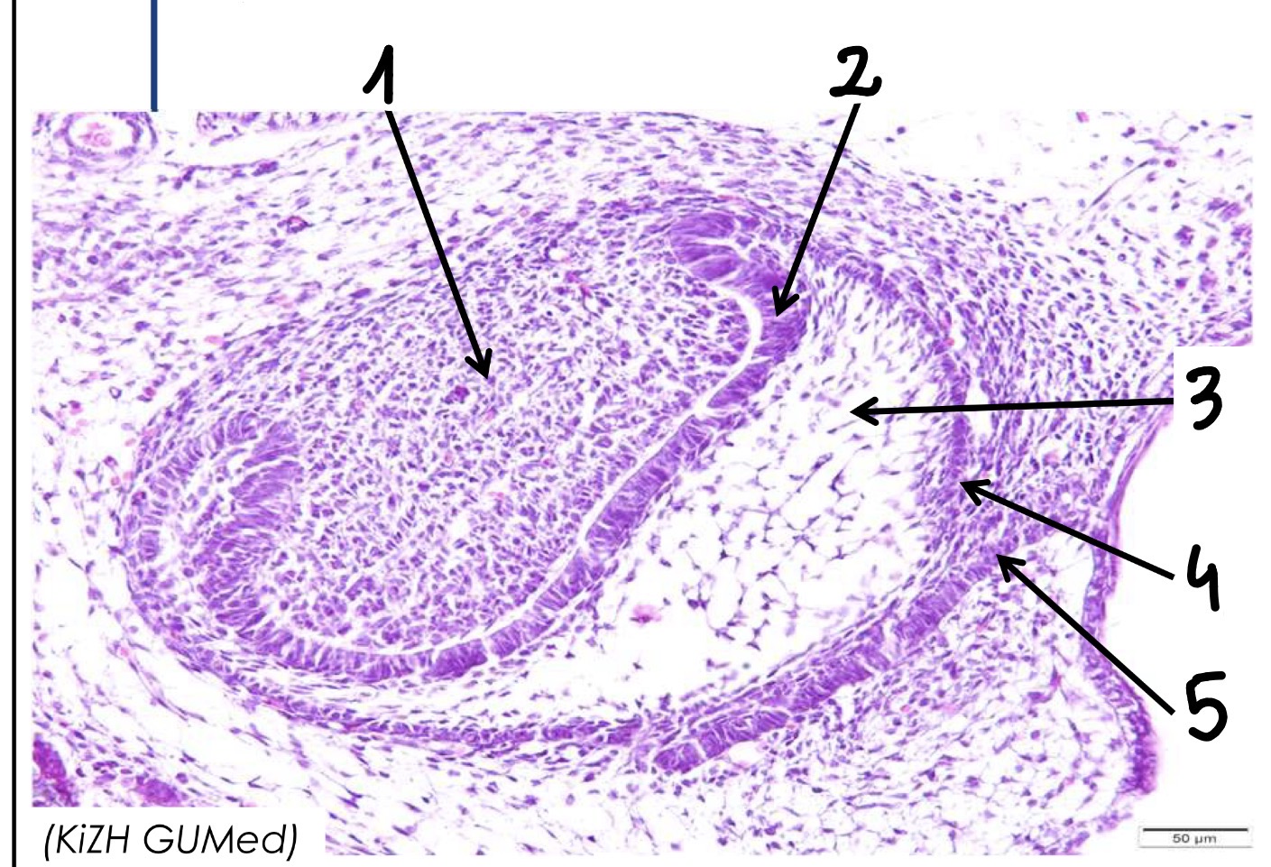<p>4</p>