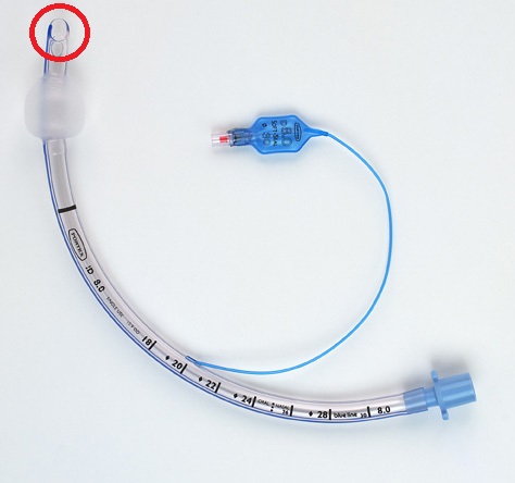 <p>The diagonal cut of the end of the ET tube. This gives a wider surface area, helping with placement</p>