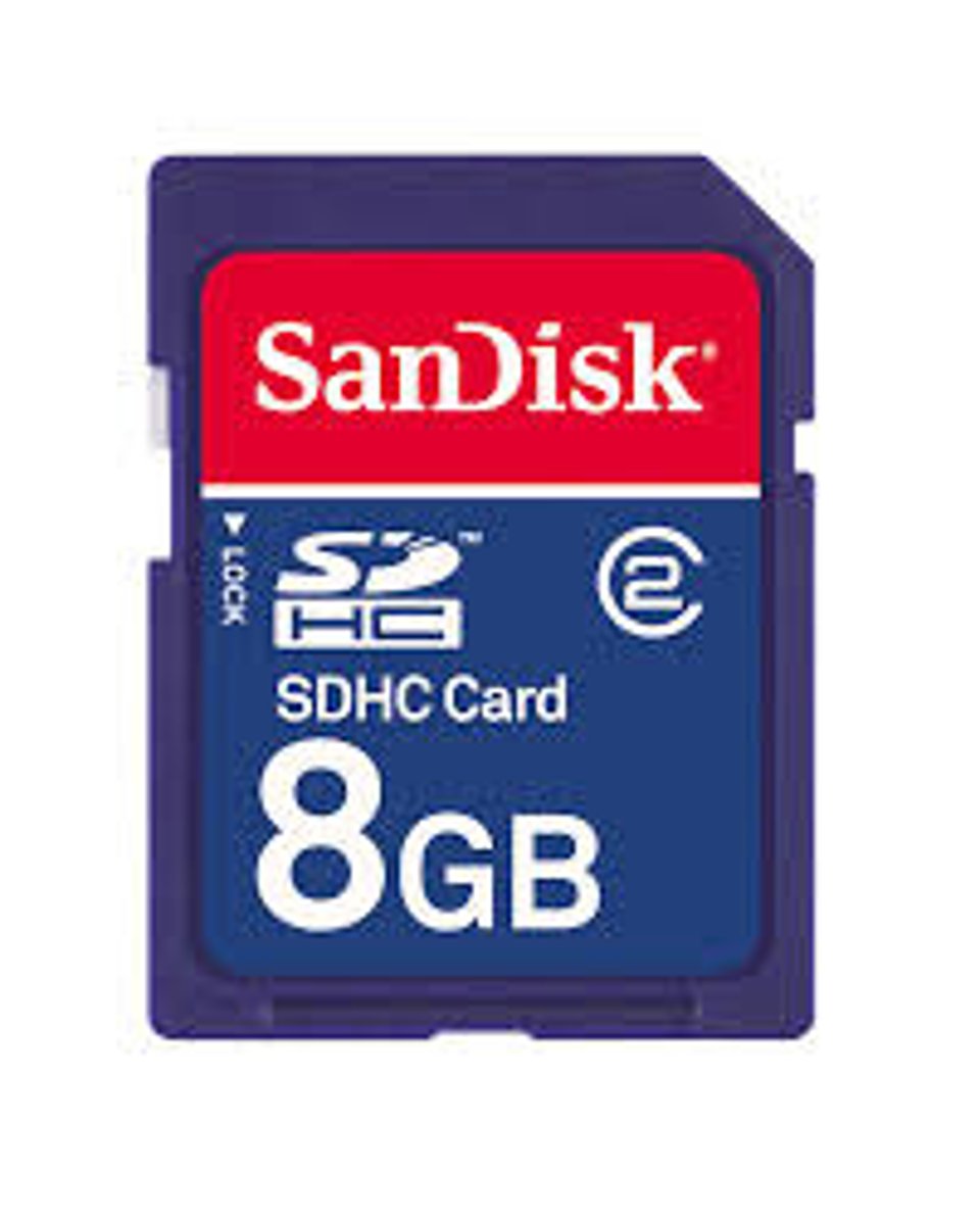 <p>A solid state storage device with a flat shape that is used in cameras and phones, also known as a flash card or SD card</p>
