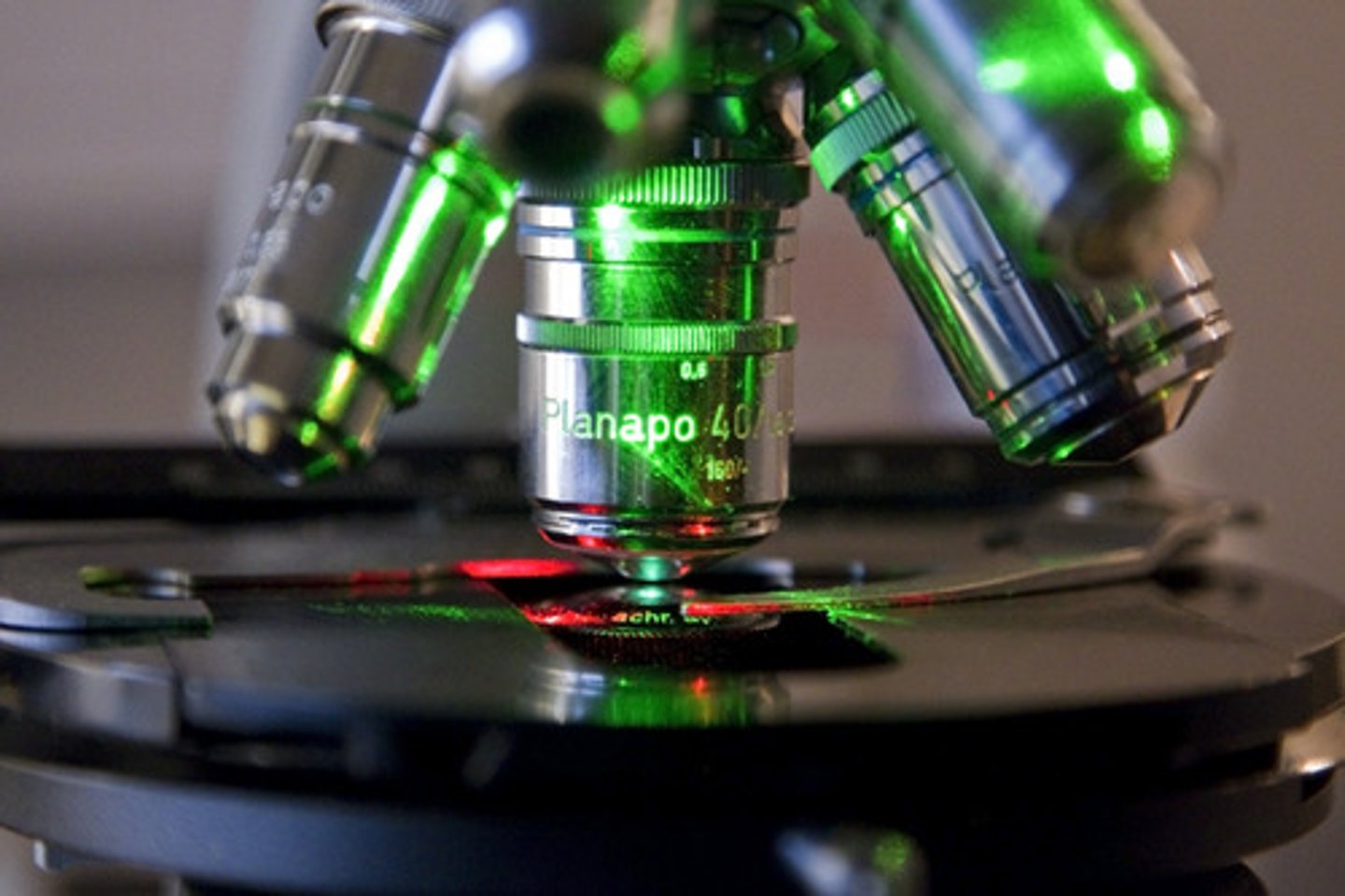 <p>The ability of the microscope to increase the size of specimen image</p>