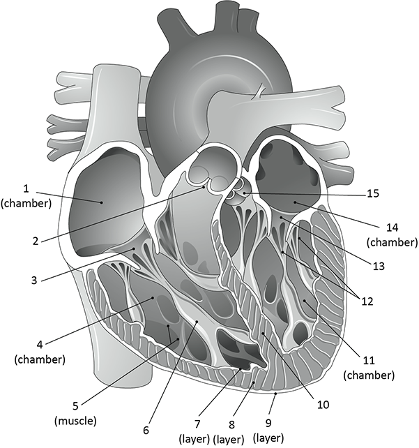<p>What is 2?</p>