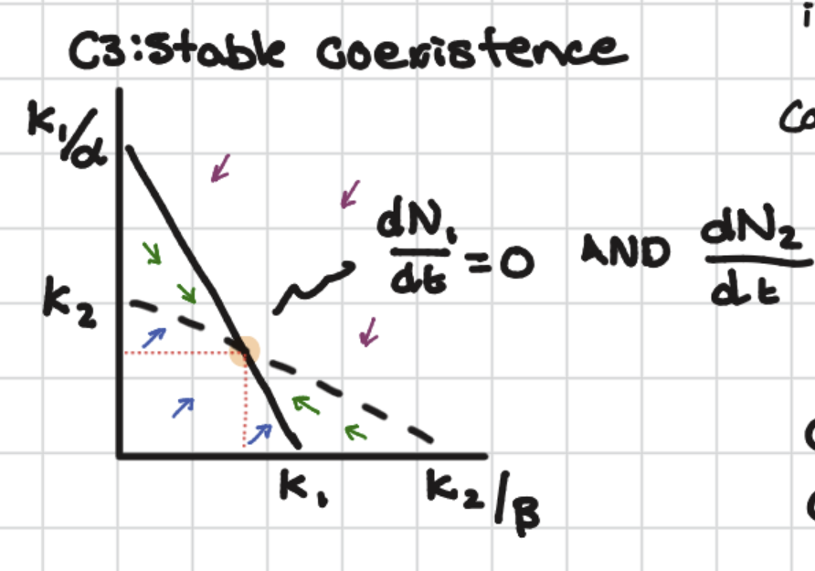 <p>stable coexistence</p>