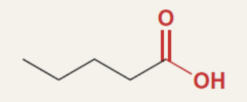 <p>functional name </p>