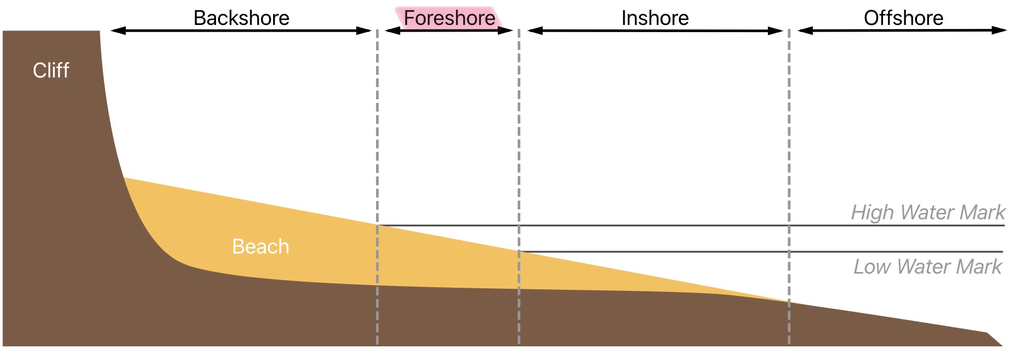 <p>What is the foreshore of the littoral zone</p>