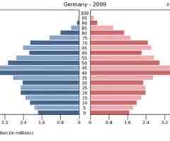 <p>Low birth and death rates, birth rates are lower than death rate so negative growth rates occur.</p>