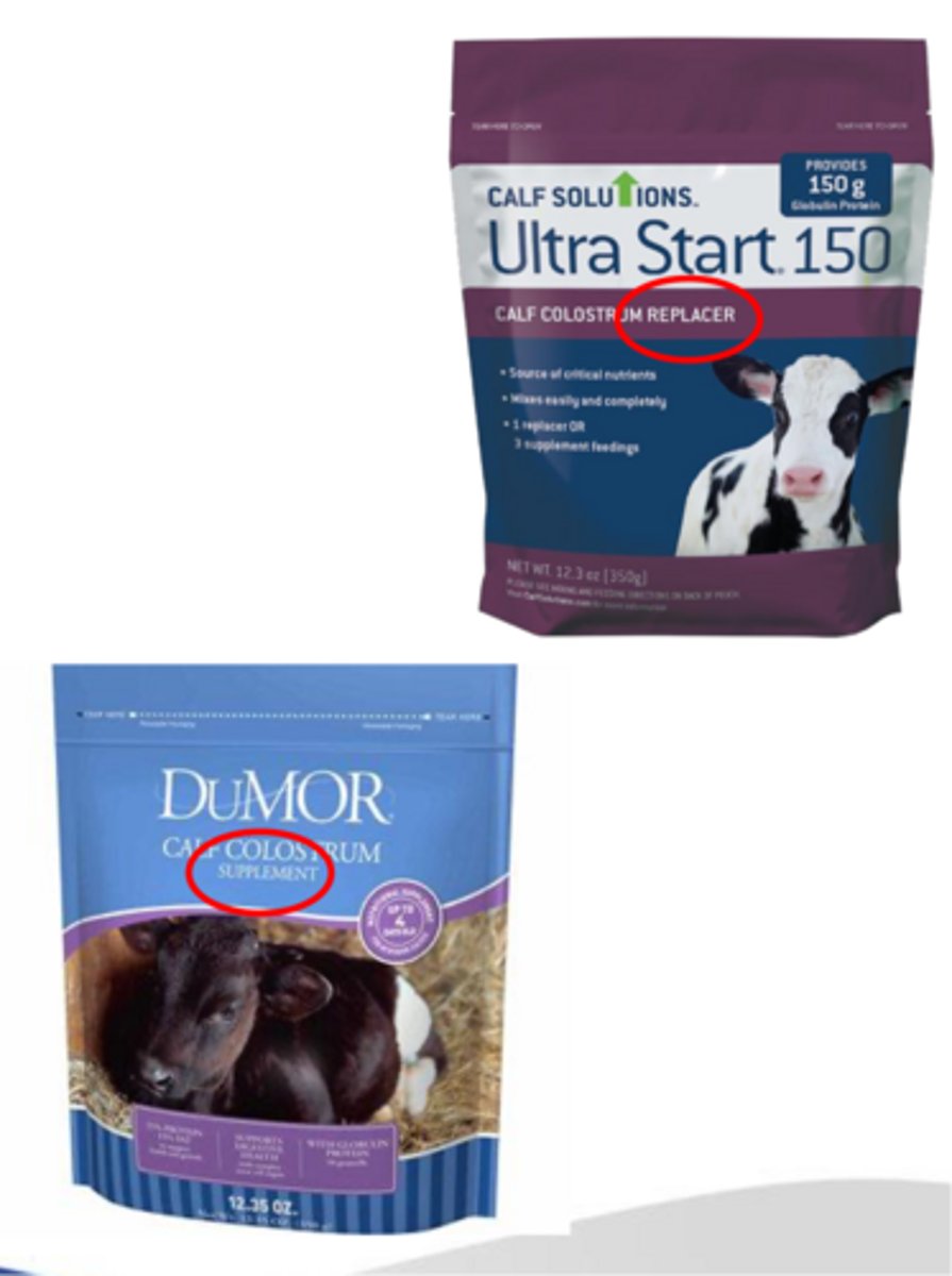 <p>what are some options for colostrum substitutes</p>