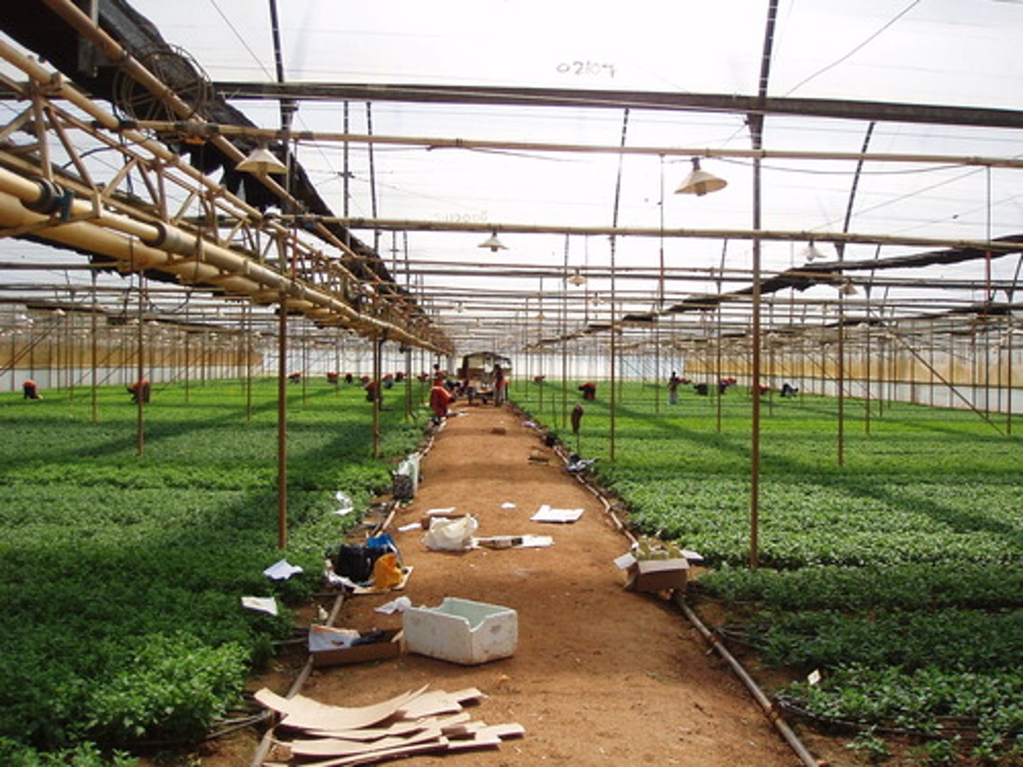 <p>term used to describe large scale farming and ranching operations that employ vast land bases, large mechanized equipment, factory-type labor forces, and the latest technology</p>