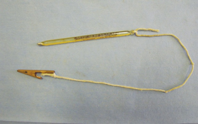 <ul><li><p><span>Can lose thermometer in rectum</span></p></li><li><p><span>Can attach to the tail hairs or hair coat (never the skin)</span></p></li></ul><p></p>