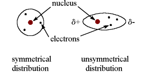 <ul><li><p><strong>weakest</strong> forces between all atoms and molecules, and depend on where e- are at any given moment</p></li><li><p>only forces that hold nonpolar molecules to one another</p></li><li><p>Cumulative (eg: methane a gas at room temperature whereas octane is a liquid at room temperature)</p></li></ul><p></p>