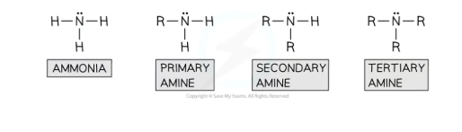 <p>the number of substituted hydrogens</p>