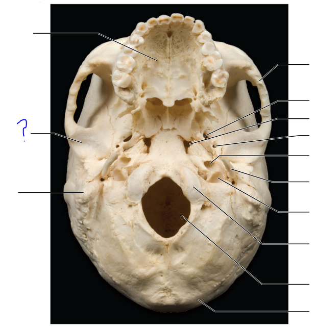 <p>(?)</p>