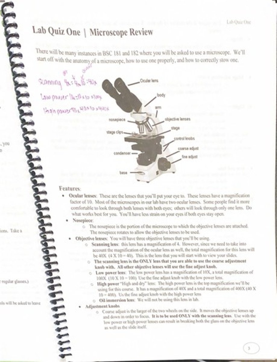 <p>They magnify the image by a factor of 10 and are the lenses you look through.</p>
