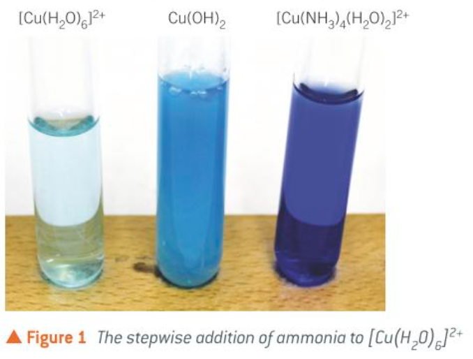 <ul><li><p>a pale blue ppt of Cu(OH)2 forming in the first stage of the rxn</p></li><li><p>the Cu(OH)2 ppt dissolving in XS NH3 to form a dark blue solution</p></li></ul><p></p>