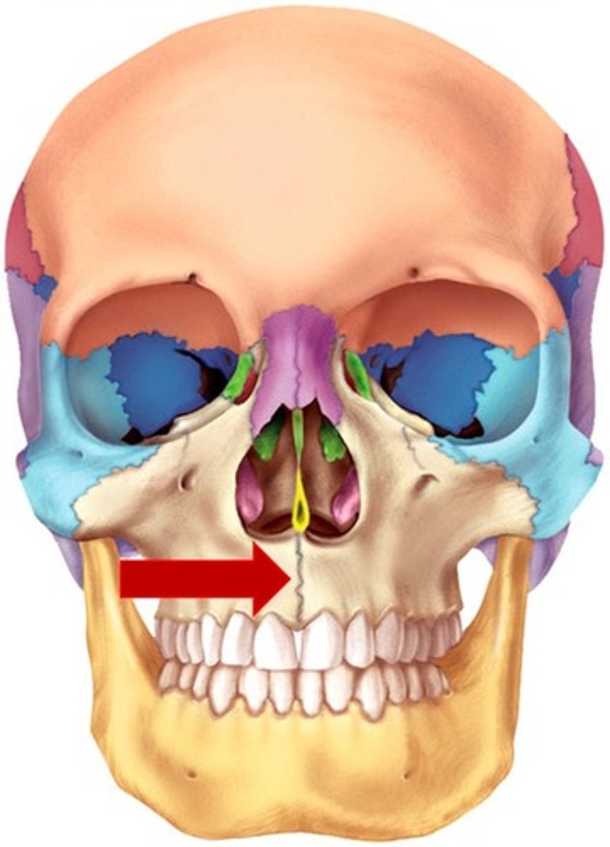 knowt flashcard image