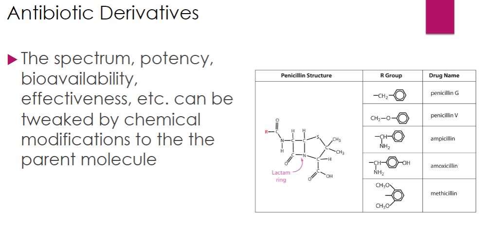 <p>Antibiotic Derivative</p>