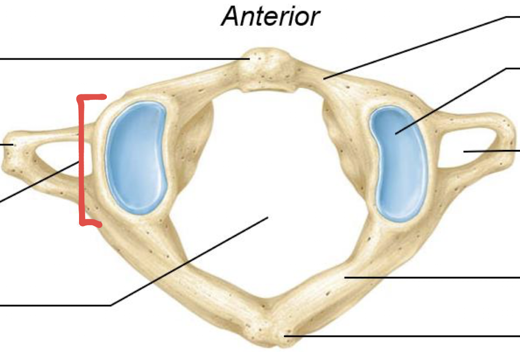 <p>what is this?</p>