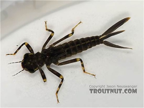 <img src="https://knowt-user-attachments.s3.amazonaws.com/0b1a9578-d369-402b-bff5-c518d9f50151.webp" data-width="100%" data-align="center"><img src="https://knowt-user-attachments.s3.amazonaws.com/80393d94-a0f8-4ec2-a2f4-8ff73f0596ab.jpg" data-width="100%" data-align="center"><p></p>