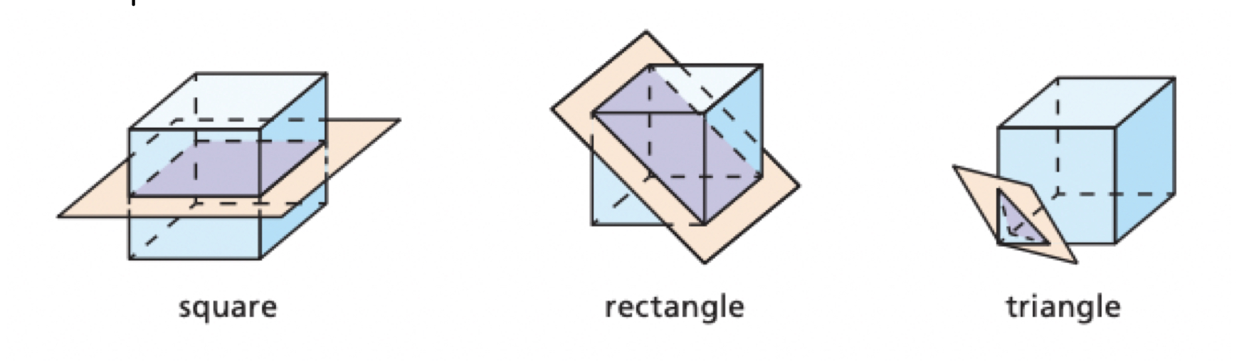 <p>The intersection of a plane and a solid</p>