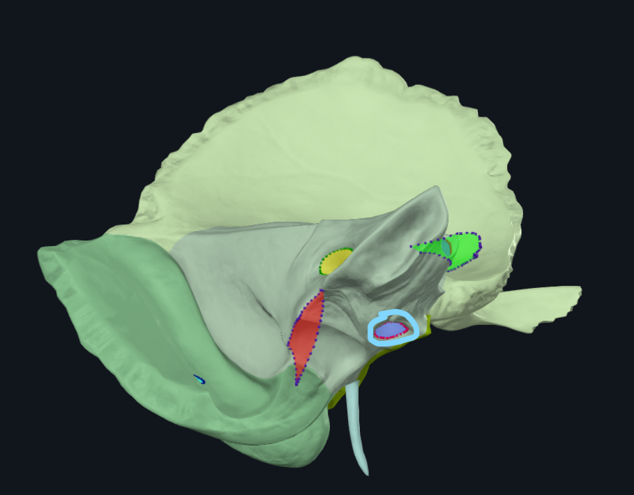 <p>What is circled</p>