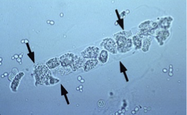 <p>What is this?</p>