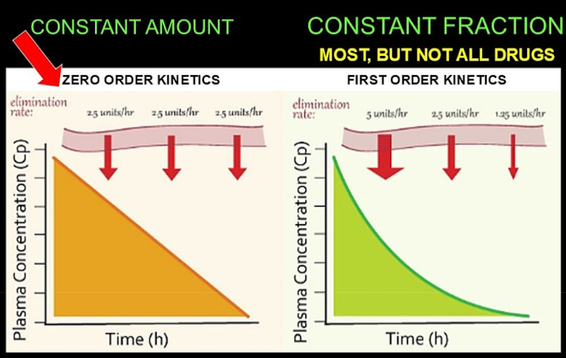 <p><span><strong><span>First-order kinetics (exponential)</span></strong><span>: Constant fraction per unit time:</span></span></p><ul><li><p><span><span>Enough enzymes to metabolize larger amounts. No saturation.</span></span></p></li></ul><p></p><p><span><strong><span>Zero-order kinetics (linear)</span></strong><span>: Constant amount of drug eliminated:</span></span></p><ul><li><p><span><span>Saturation levels are reached for an enzyme → a constant amount of a drug can be processed.</span></span></p></li></ul><img src="https://lh7-rt.googleusercontent.com/docsz/AD_4nXd7jFL1Pw2WwgWU_wsddDiOphms9qfLRJr56tWHXkESR7uTpER8omx-vQ4gdqhVtpA6Bbpnhp4-IvSFoaK1t5z9aGRfjzXC0ZmghKQTwYjTbMycHJEGNcLAoI9ZM0my_ICMYqapDg=s800?key=5be8FdUGAacTpQn0LlATTg" data-width="100%" data-align="center" alt=""><p></p>