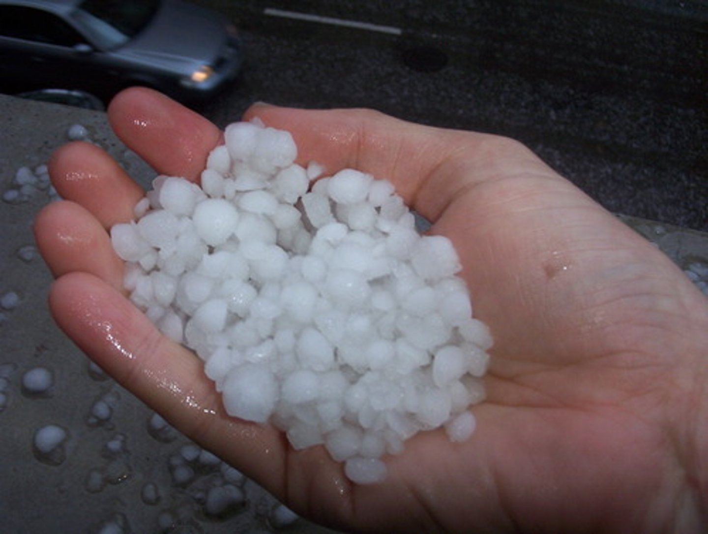 <p>hail</p>
