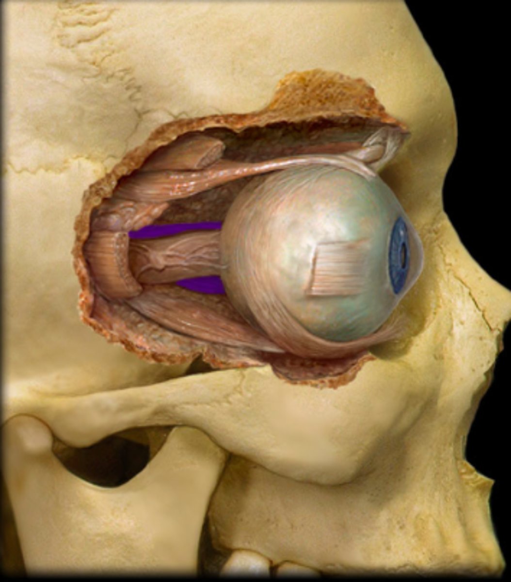 <p><em>identify the structure:</em></p>