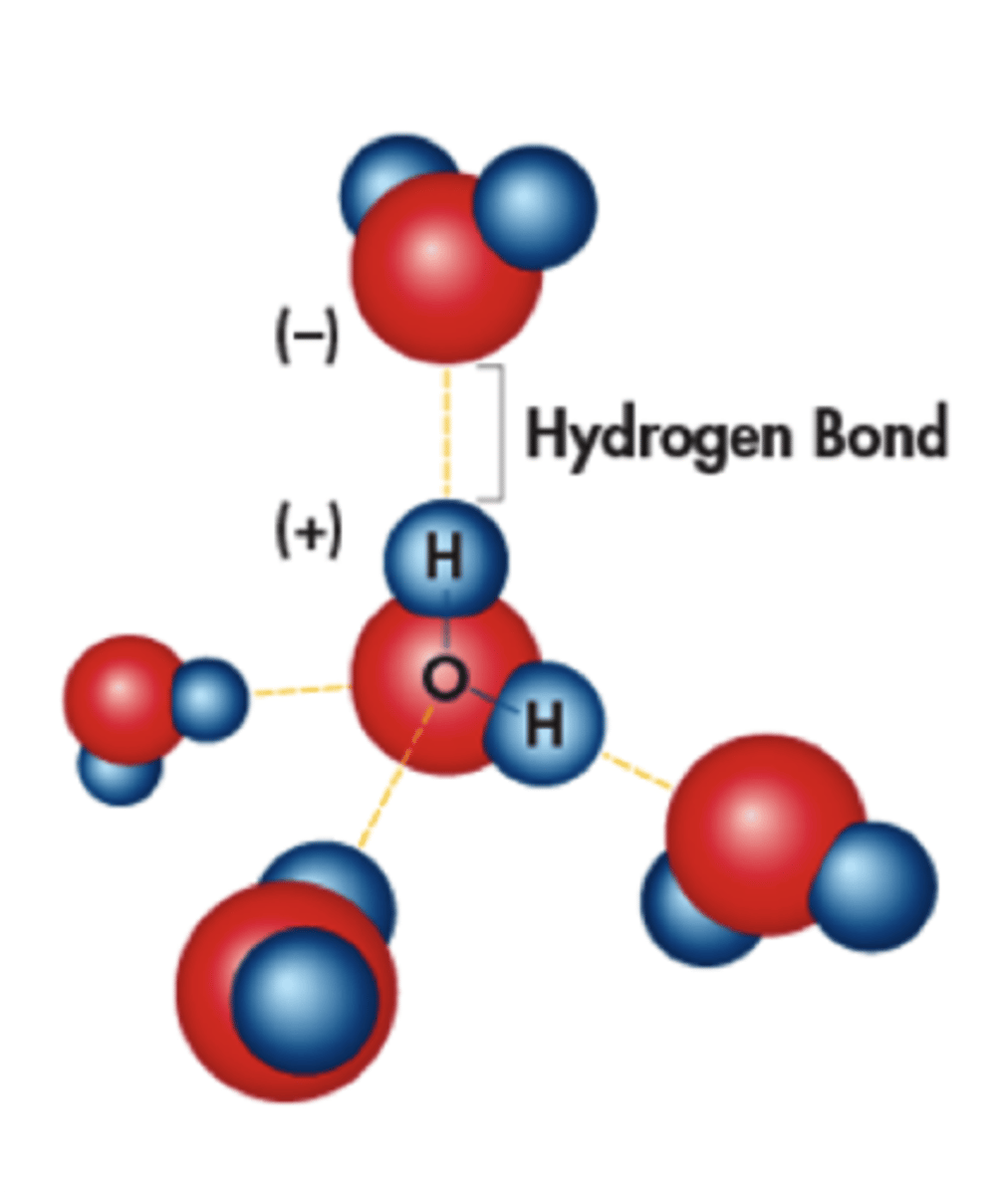 <p>Cohesion is the property of water in which it makes hydrogen bonds with itself, causing water molecules to stick together,</p>