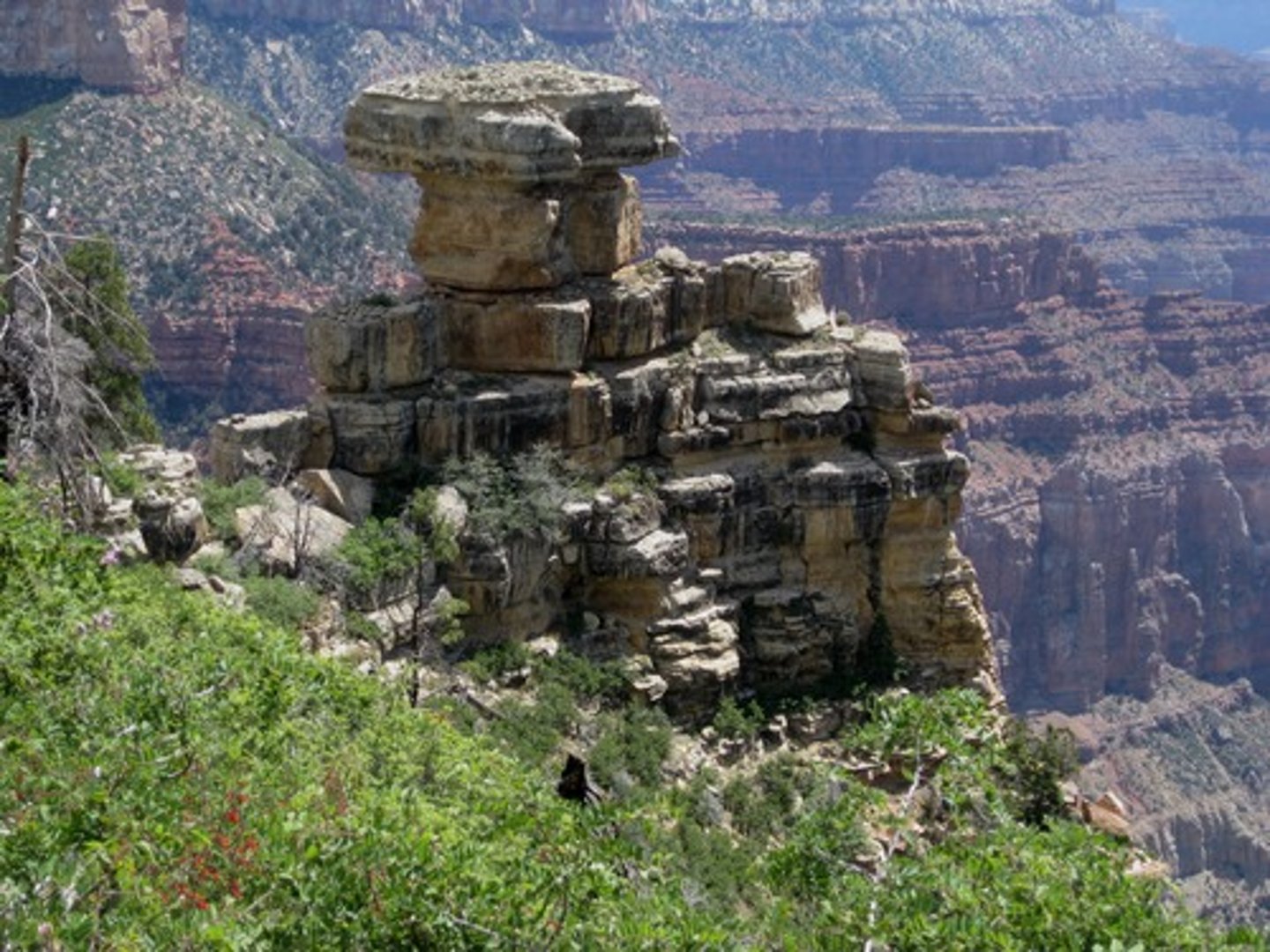 <p>địa chất học</p><p>the study of the rocks and similar substances that make up the earth's surface</p>