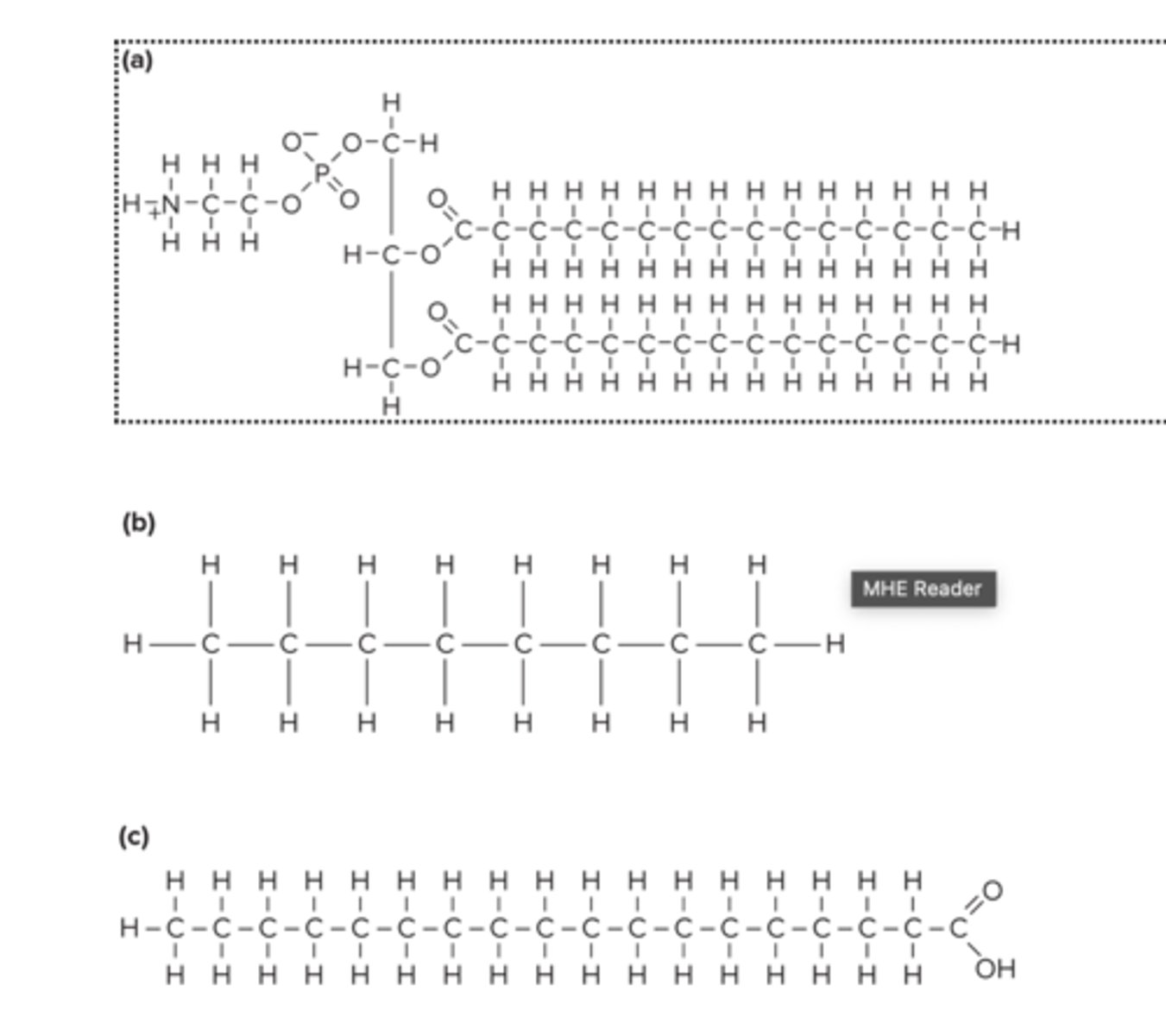 <p>E) (a) and (c)</p>