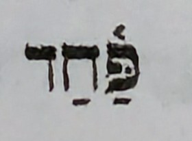 term image