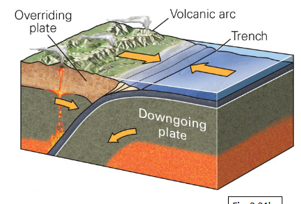 <p>Two plates move towards each other. <strong><u>At least one plate MUST be oceanic</u></strong></p><p>The older, colder, more dense oceanic plate will bend down into the asthenosphere in a process called <strong>subduction</strong></p>