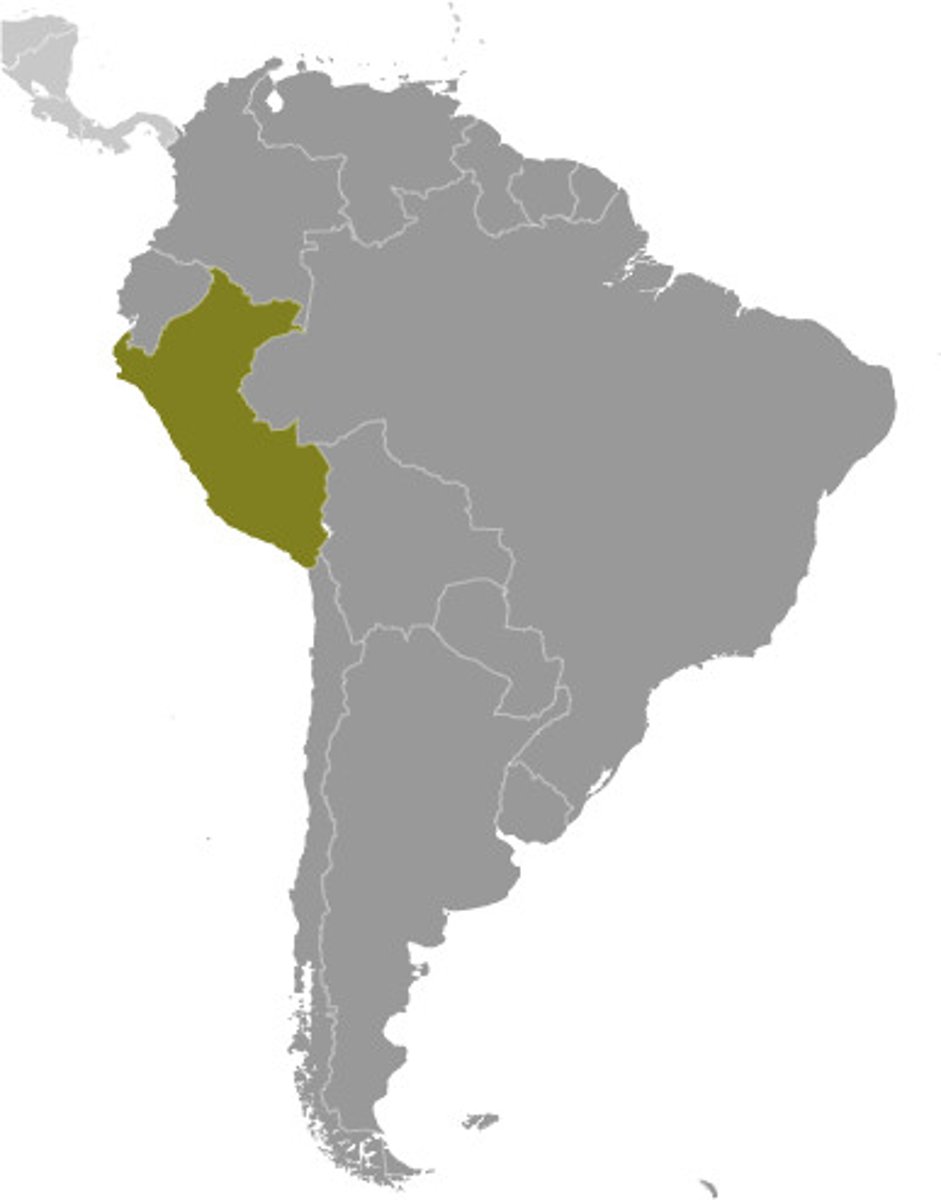 <p>peruanisch (Die peruanische Musik ist sehr schön.)</p>