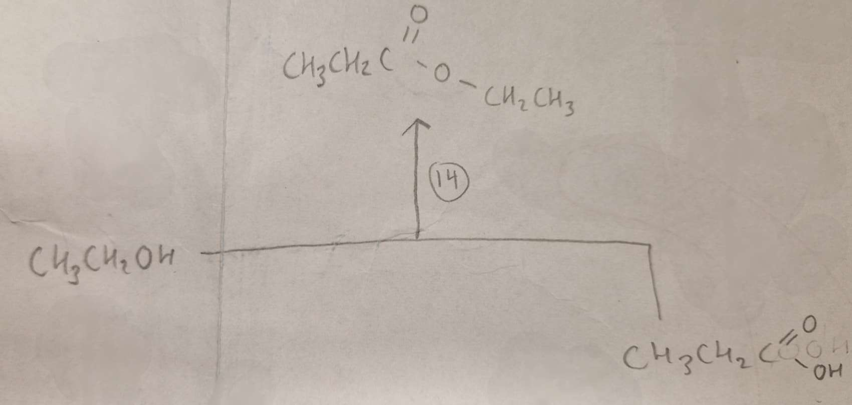 <p>Alcohol + Carboxylic Acid to Ester Conditions:</p>