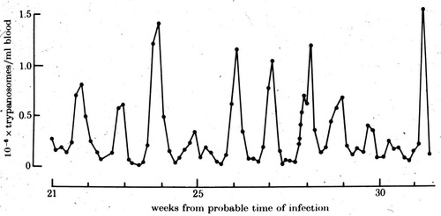 <p>The ability to change VSGs and evade detection.</p>