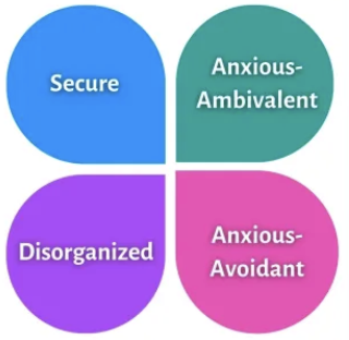 <p>the Attachment theory (Bowlby + Ainsworth) explains that attachment is important for _______ development and ______</p>