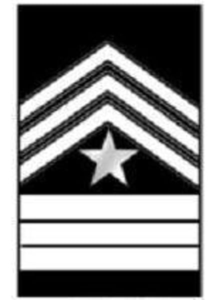 <p>3 Chevrons 3 Bars 1 Star</p>