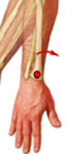 <p>Which synovial joint movement is:</p><ul><li><p>Rotates toward axis (inward rotation)</p></li></ul><p></p>