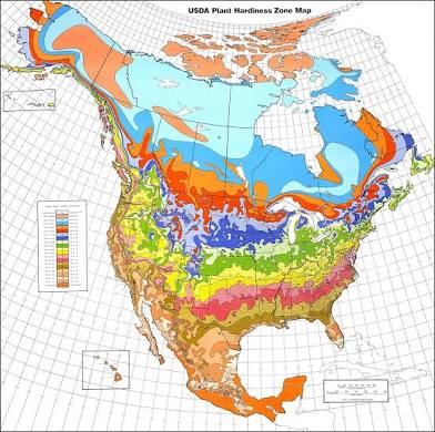 <p>What type of map is this?</p>