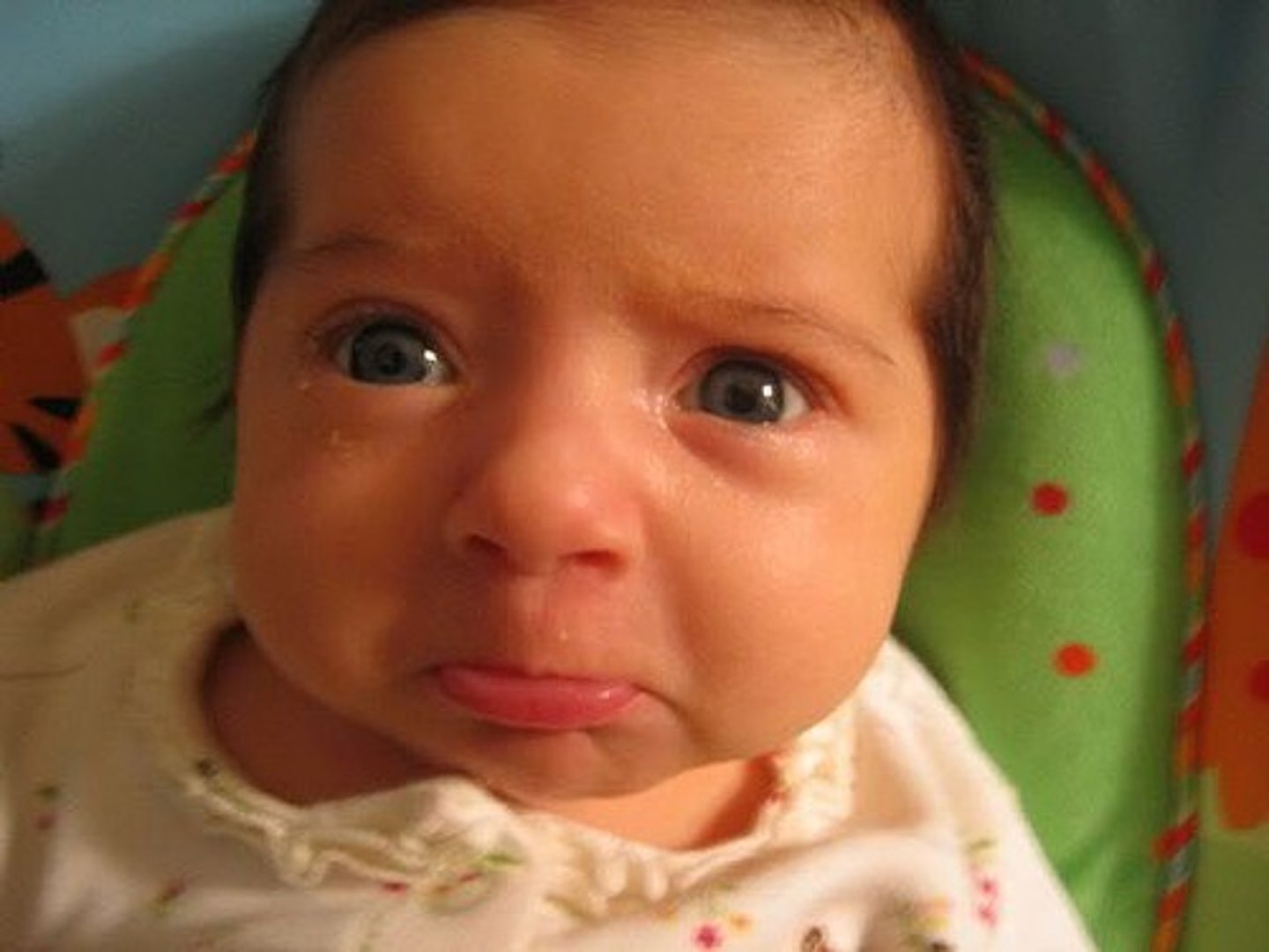 <p>poor thing</p>