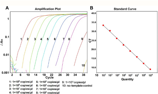 <ul><li><p><span>Serial dilution series of sample with known number of copies</span></p></li><li><p><span>Use this to establish the relationship between starting target copy number and Ct (cycle number)</span></p></li></ul><p></p>