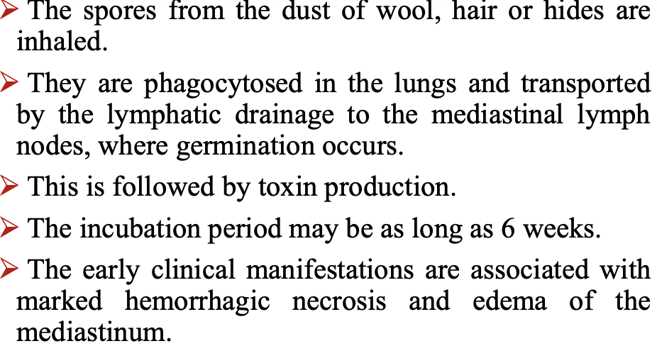 <p>Substernal pain</p><p>Haemorrhagic pleura effusion</p><p>Sepsis</p><p>Potent toxin - can be use in biologic warfare</p>