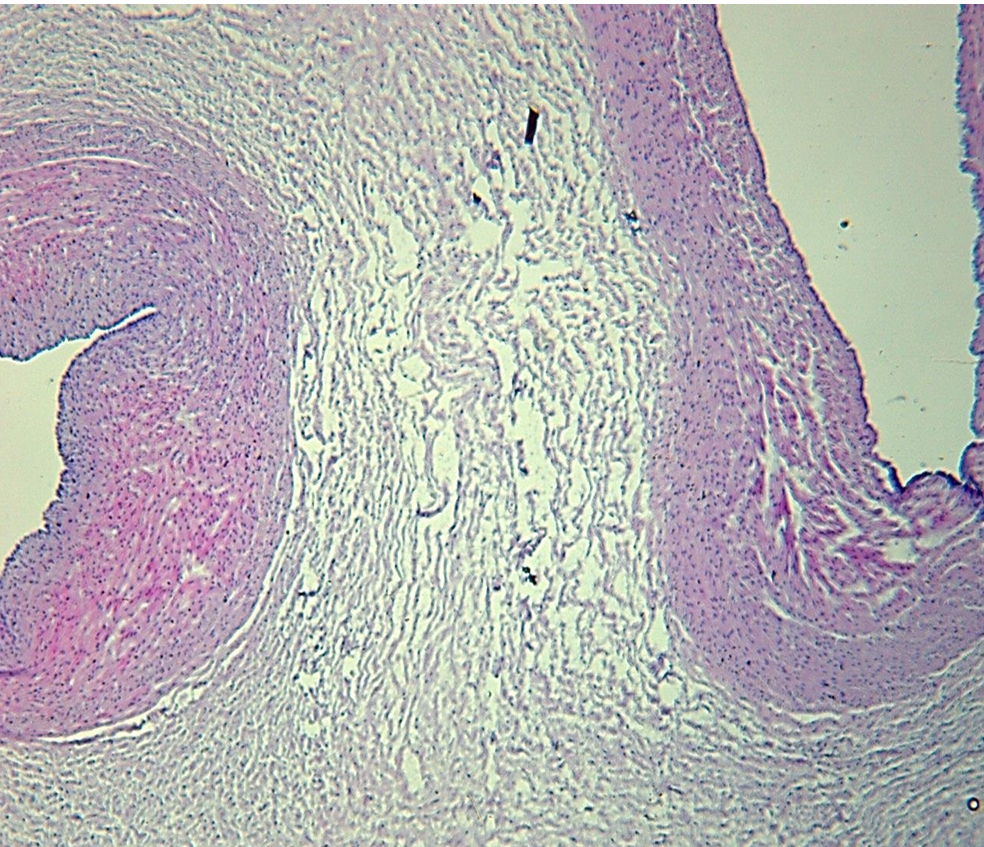 <p>identify </p><p>mention one site </p>